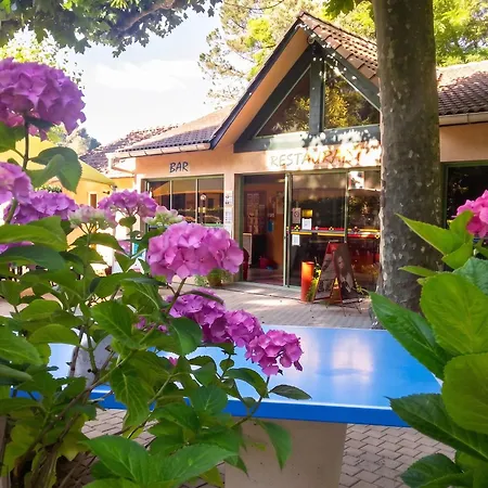 Chalet à