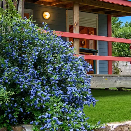 à Chalet Saint-Jean-du-Gard